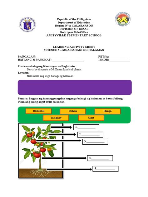 mga bahagi ng halaman drawing|Learning Activity Sheet .